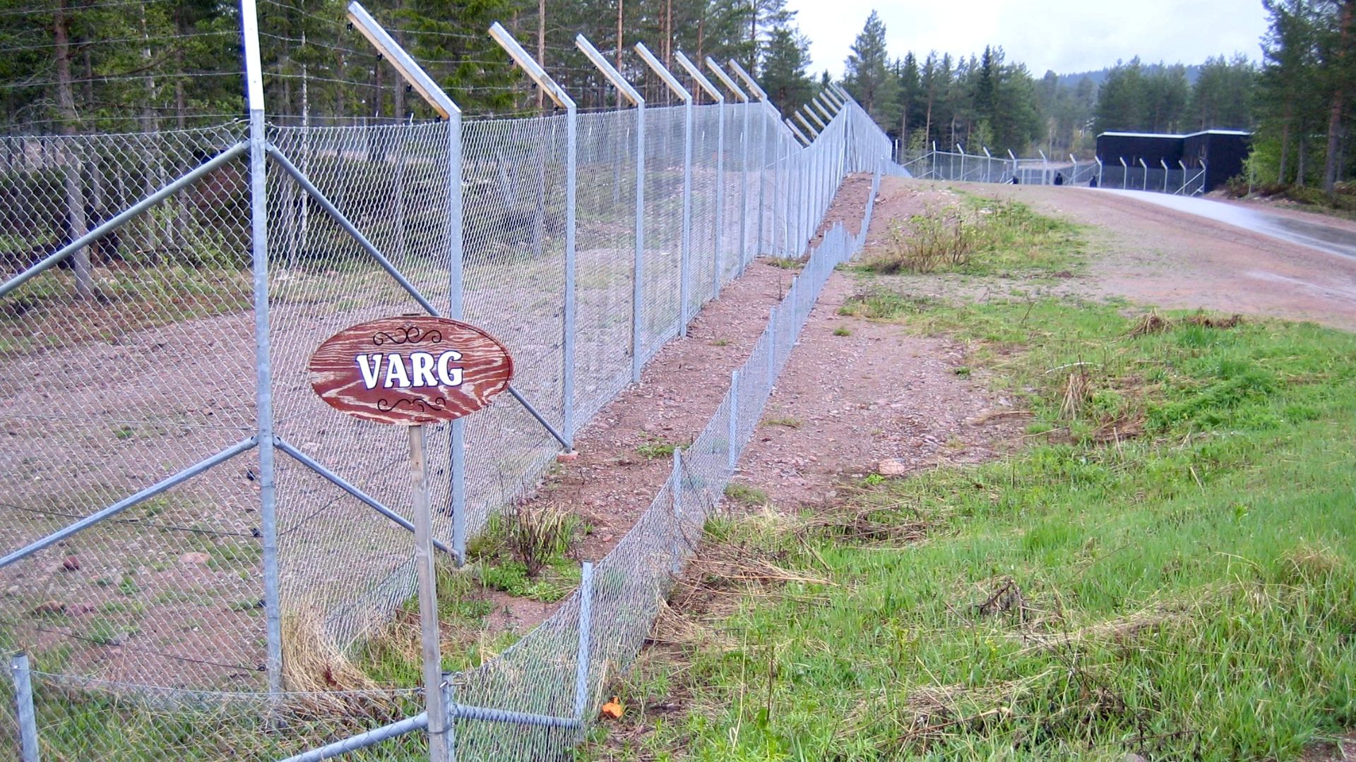 Stabil Stängsel - varghägn på Orsa Rovdjurspark